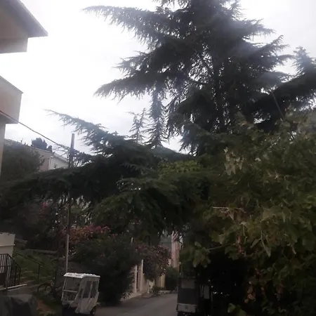 Heybeliadada Dogayla Icice Guzel Bir Daire * Adalar