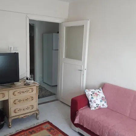 Heybeliadada Dogayla Icice Guzel Bir Daire Adalar